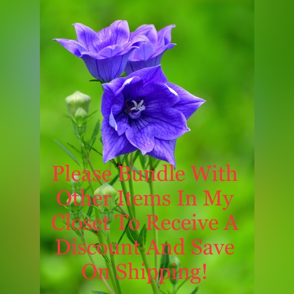 Express Men's 100% Cotton Blue Striped Crew Neck Tee Short Sleeves Size M - Picture 10 of 11